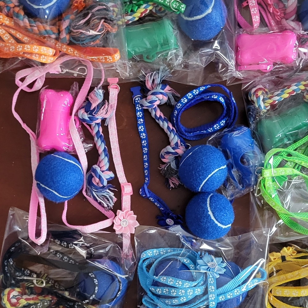 NWT Puppy Leash, Collar, Waste Bags, 2 Balls, Chew Rope, Pick Your Color
